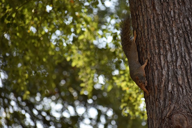 利物浦暂时摆脱困境，但斯洛特执教仍存疑，维尔茨与基耶萨表现关键，战术调整引发争议。