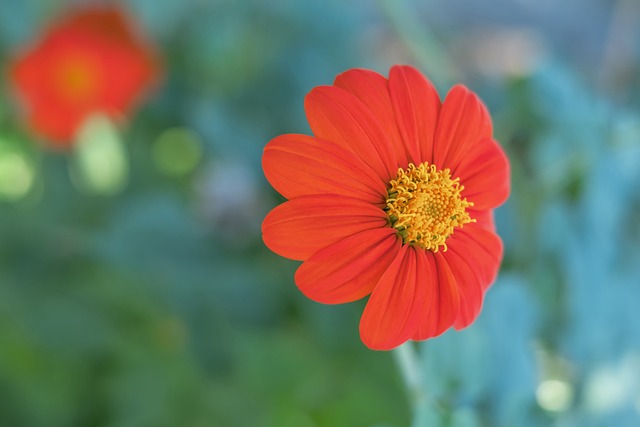 K联赛铁卫驰援中超！全北队长朴镇燮接近加盟浙江，后防补强再添强援