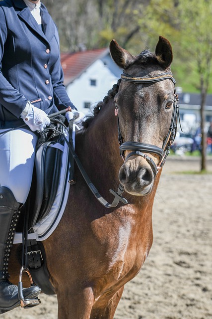 奋的消息不 奋的消息不