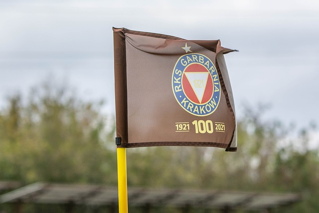 向世界證明 向世界證明