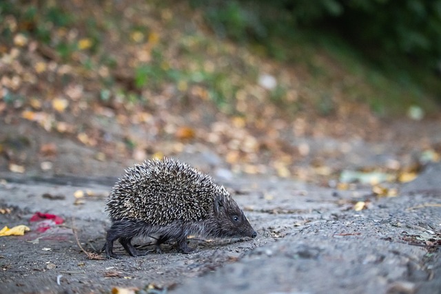 这场比赛 这场比赛