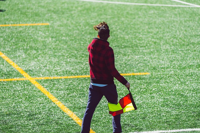 更是对其历 更是对其历