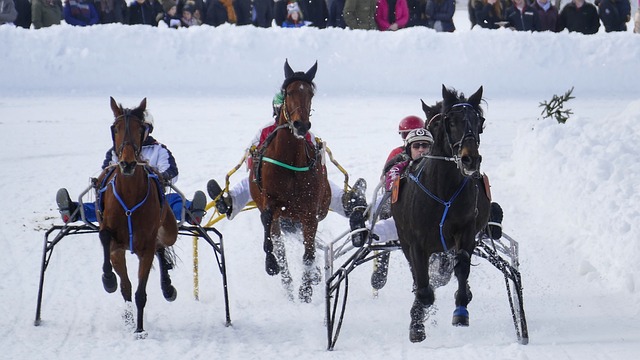 作为马刺队 作为马刺队