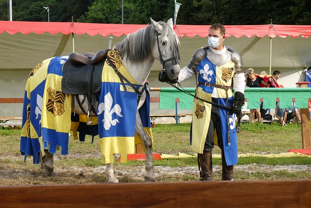 这表明球队 这表明球队